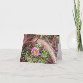 Ornamental Fall Grass and Pink Cosmos Card