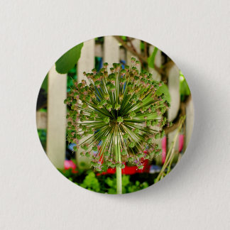 Ornamental Onion Badge