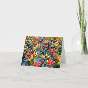 Ornamental Peppers Note Card