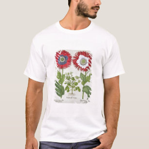 Ornamental Poppies, from the 'Hortus Eystettensis' T-Shirt
