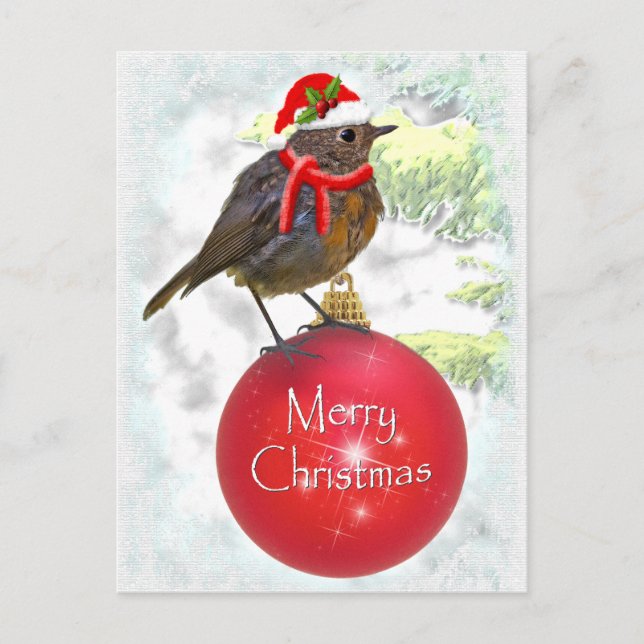 Ornamental Robin Postcard (Front)