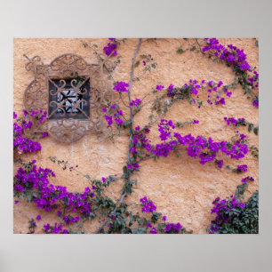 Ornamental window with bougainvillea poster