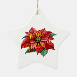 OrnamentCeramic, Star Ornament,holiday cheer, Ceramic Tree Decoration