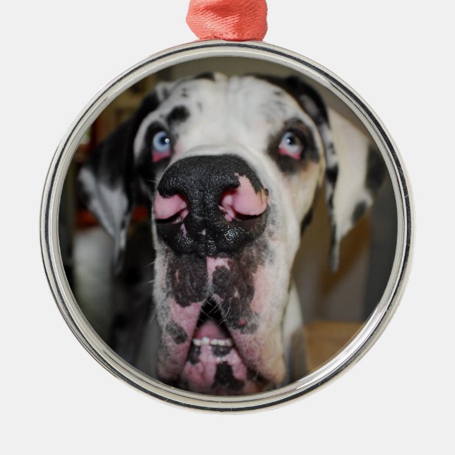 Ornamentdoggen Metal Tree Decoration (Front)