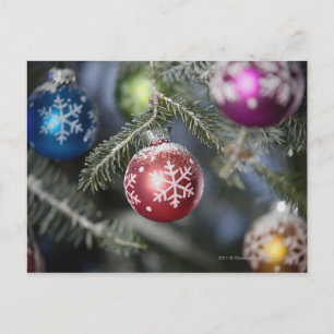 Ornaments on a Christmas tree Holiday Postcard
