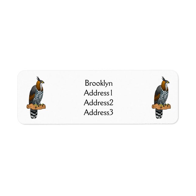 Ornate hawk eagle bird cartoon illustration  (Front)