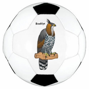 Ornate hawk eagle bird cartoon illustration football
