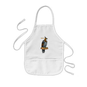 Ornate hawk eagle bird cartoon illustration  kids apron