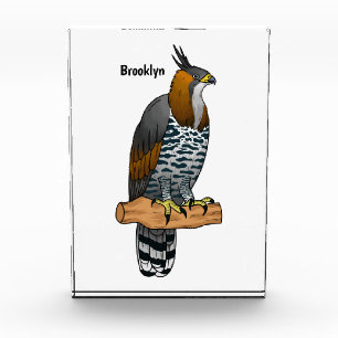Ornate hawk eagle bird cartoon illustration photo block