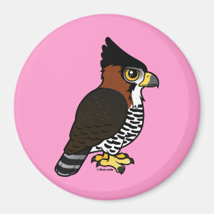 Ornate Hawk-Eagle Magnet