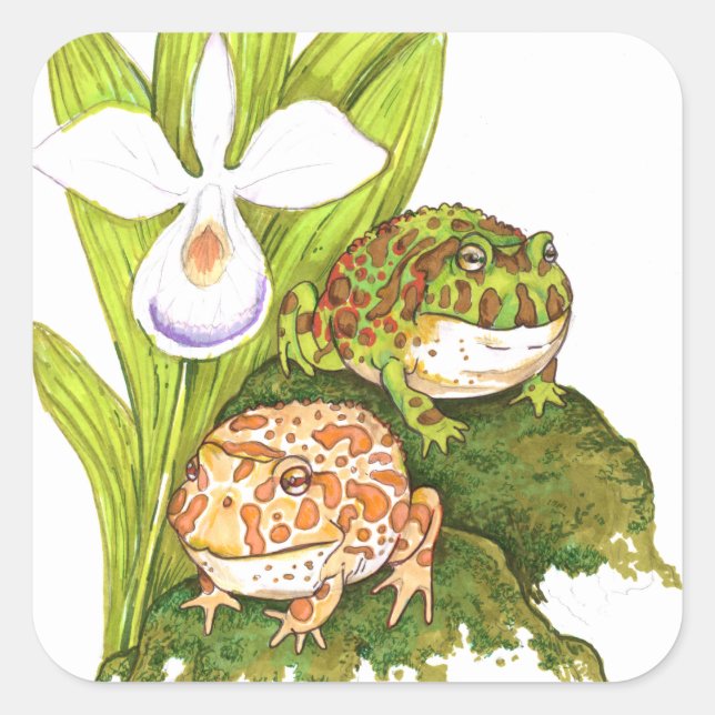 Ornate Horned Frogs Square Sticker (Front)