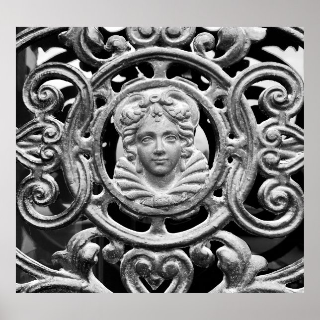 Ornate Iron-Wrought Storm Door Poster (Front)