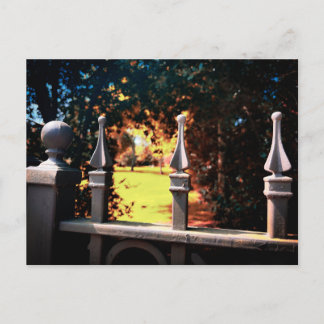 Ornate Stone Railing with Golden Hour Light Postcard