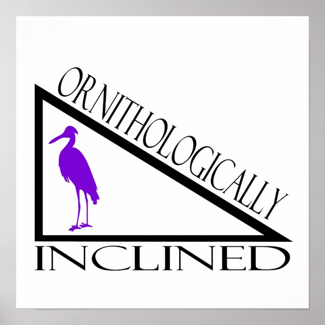 Ornithologically Inclined Poster (Front)