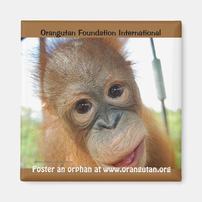 Orphan Animal Spring Promotion Magnet (Front)