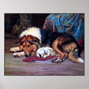 Orphan Dog Rescued by a Collie - Vintage Art Print