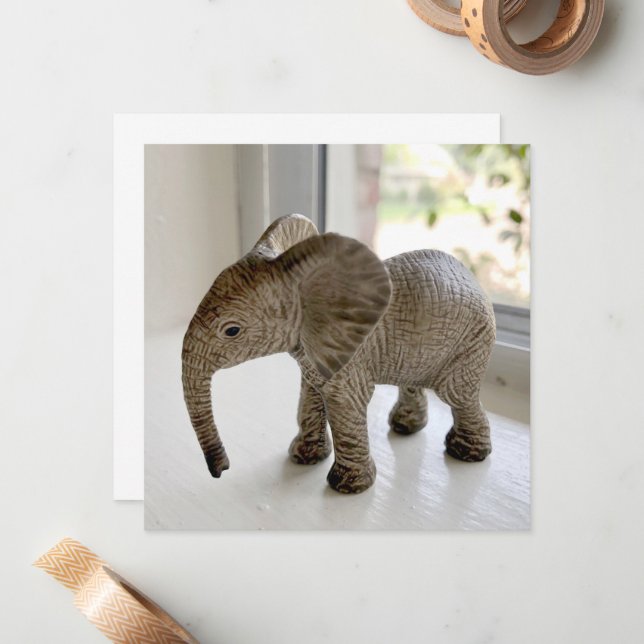 Orphaned Baby Elephant Notecards (Front/Back In Situ)