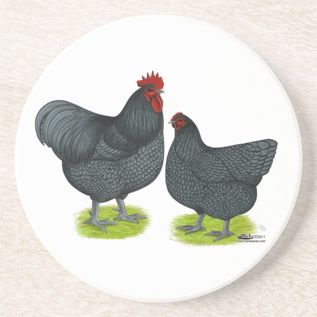 Orpington:  Blue Pair Coaster (Front)