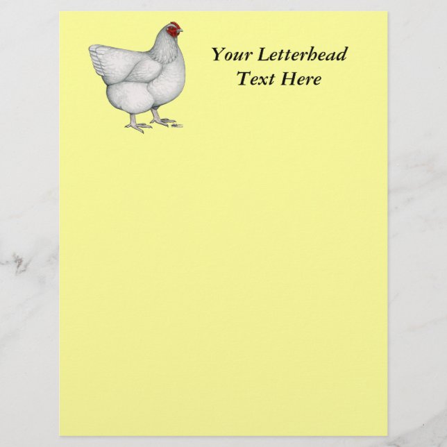 Orpington White Hen (Front)