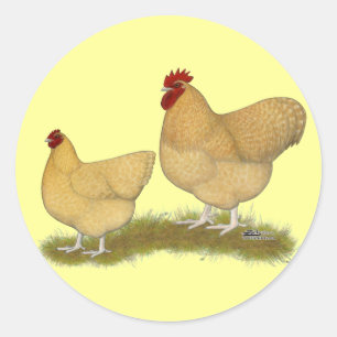 Orpingtons Lemon Cuckoo Classic Round Sticker