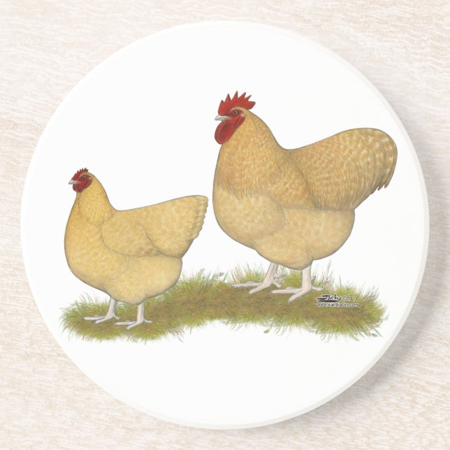 Orpingtons Lemon Cuckoo Coaster (Front)