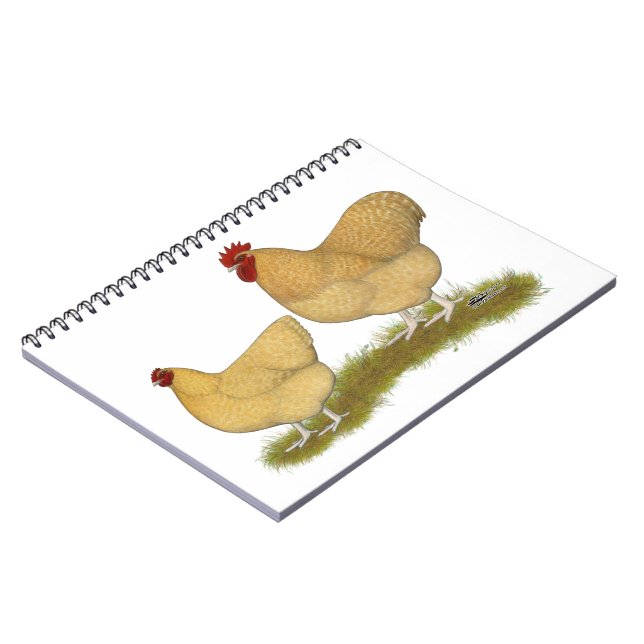 Orpingtons Lemon Cuckoo Notebook (Left Side)