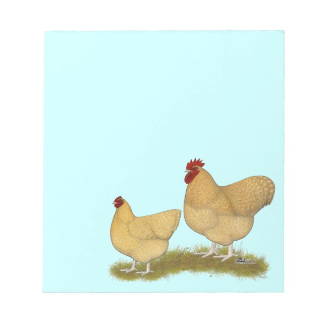 Orpingtons Lemon Cuckoo Notepad (Front)