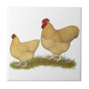 Orpingtons Lemon Cuckoo Tile