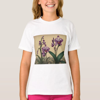 orquydeas zapa T-Shirt