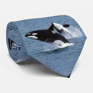 Orsinas Orca Killer Whale Tie