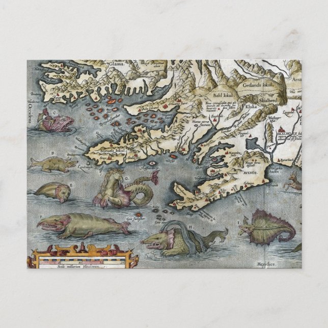 Ortelius Map Sea Monsters Postcards (Front)