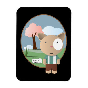 Orthopaedics Anaesthesia Fracture Magnet