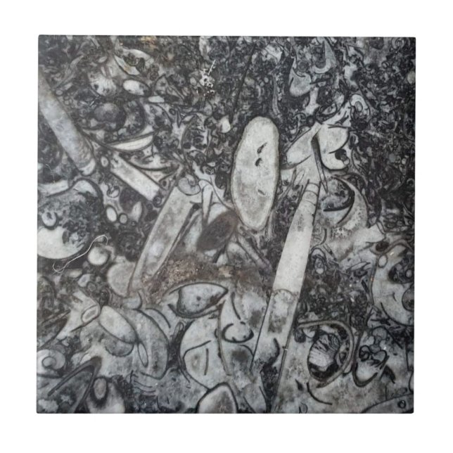 Orthoseras and Goniatite fossil Tile (Front)