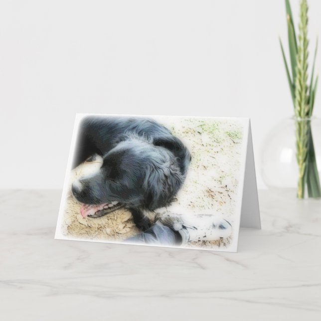 Orton Smokey and Matte Card (Front)