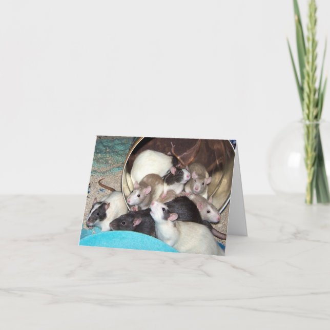 Orvietta and Kids Note Card (Front)