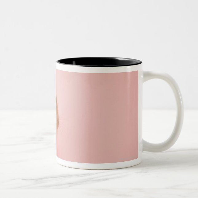 Oryctolagus cuniculus 2 Two-Tone coffee mug (Right)