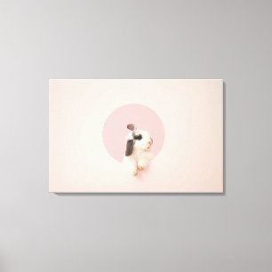 Oryctolagus cuniculus canvas print