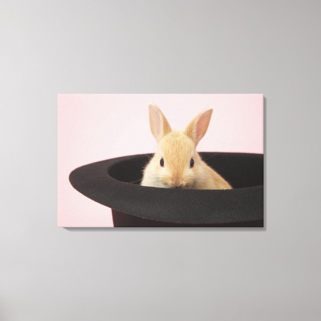 Oryctolagus cuniculus canvas print (Front)