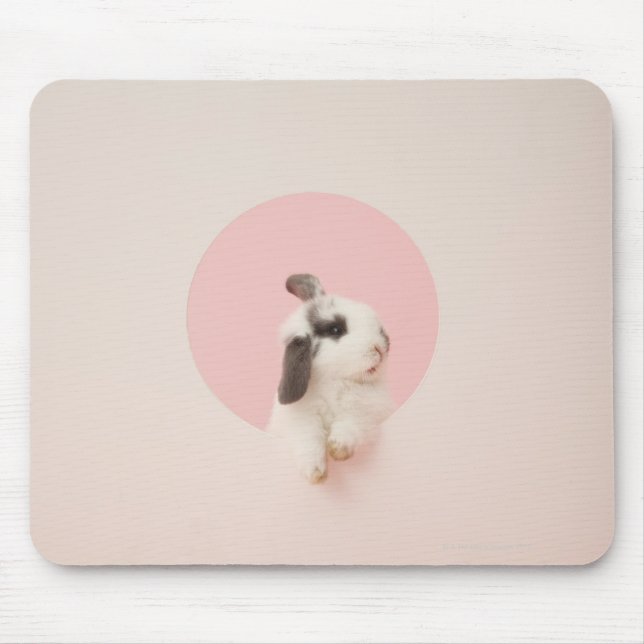 Oryctolagus cuniculus mouse mat (Front)
