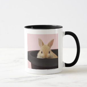 Oryctolagus cuniculus mug