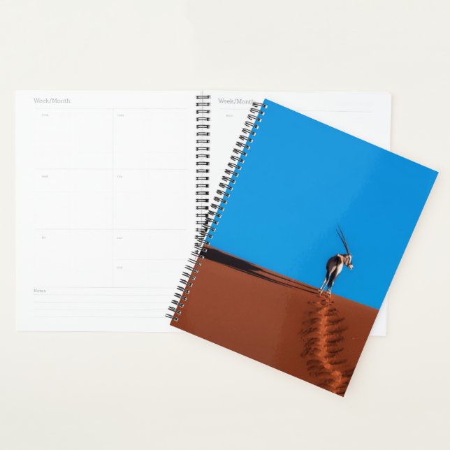 Oryx Antelope at the Namib Desert Planner (Display)