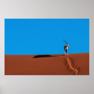 Oryx Antelope at the Namib Desert Poster