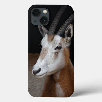 Oryx iPad Case