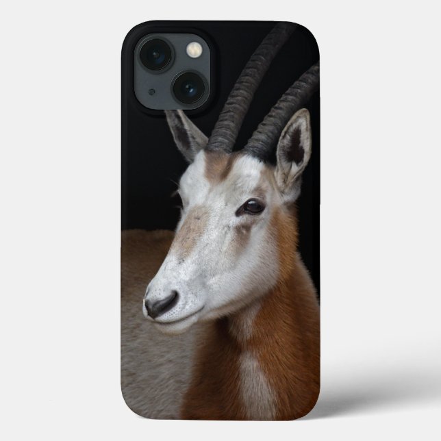 Oryx iPad Mini Case (Back)