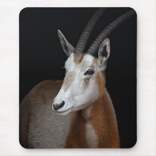 Oryx Mousemat (Front)