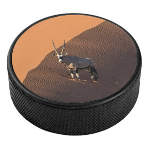 Oryx on the edge, Namibia Hockey Puck
