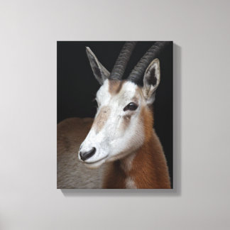 Oryx Wrapped Canvas Print