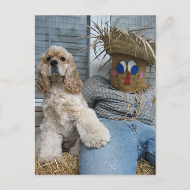 Oscar and Phil Postcard (Front)