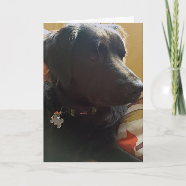 Oscar Black Dog Birthday Card (Front)