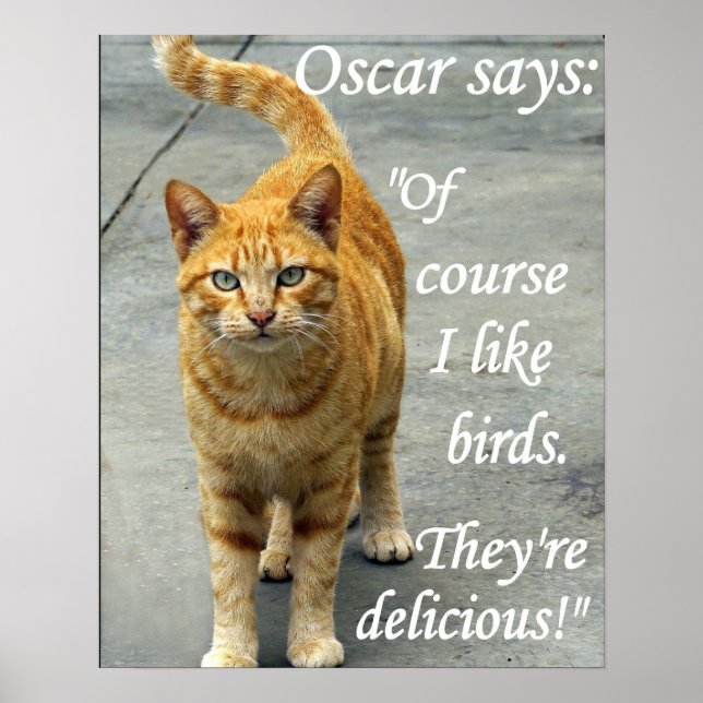 oscar loves birds poster (Front)
